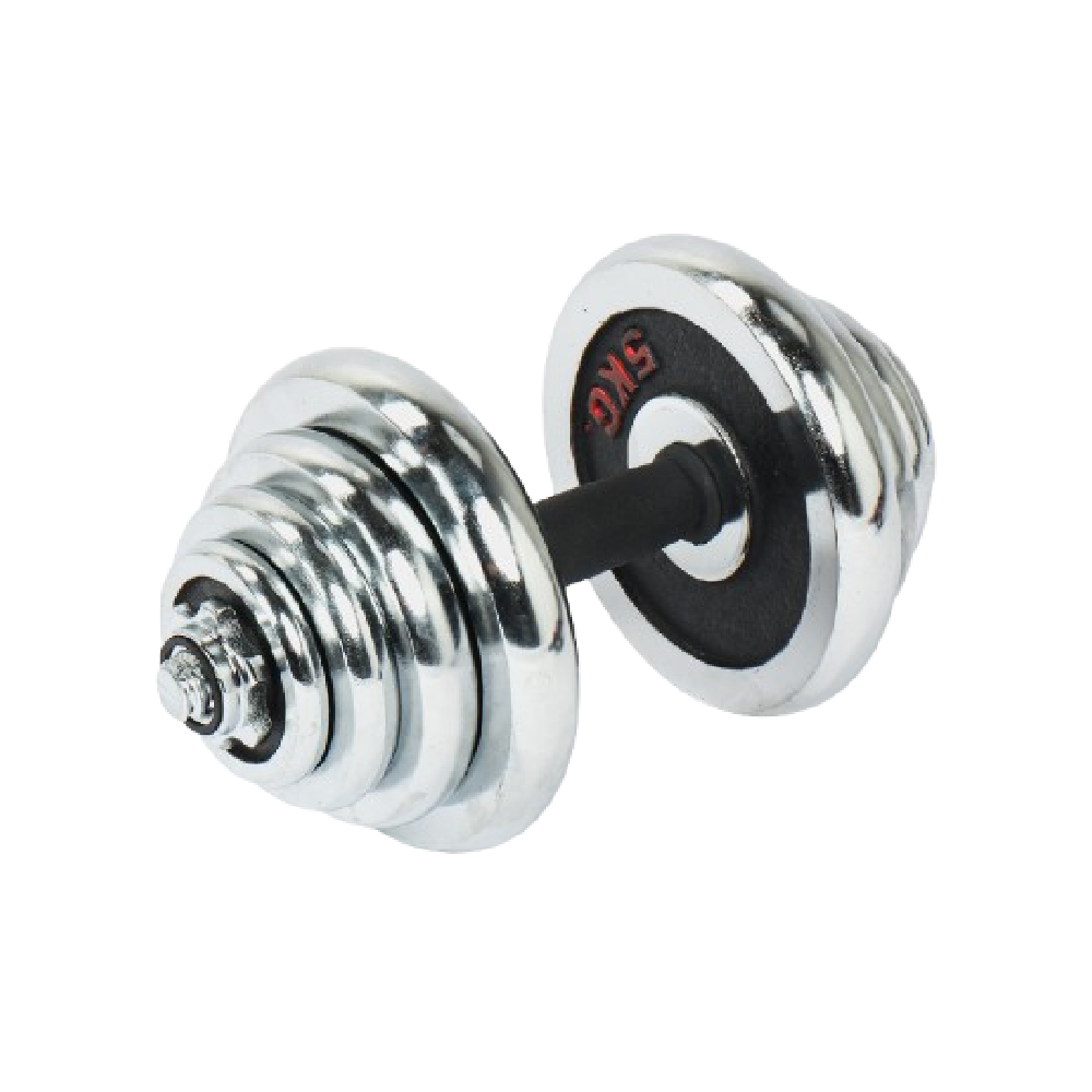 Gantel B254 55 kg