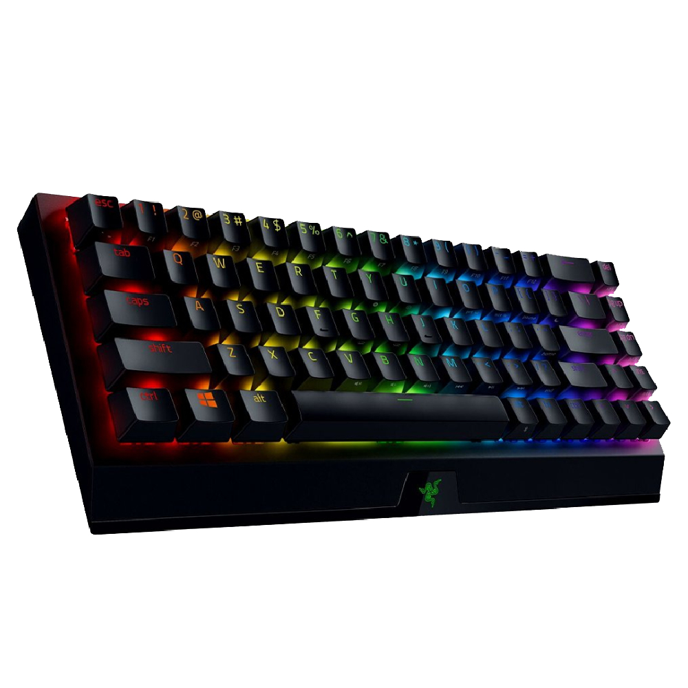 Klaviatura Razer BlackWidow V3 | ERC (RZ03-03540100-R3M1)