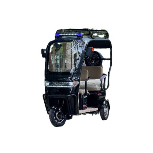 Tritsikl Wasat, W/S 25 (Motor quvvati 1200w, 5ta sifatli 32ah akkumulyator, Maksimal tezligi 25 km/s)